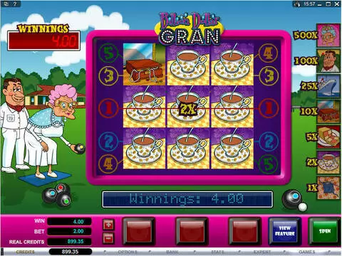 Billion Dollar Gran Fun Slots by Microgaming with 3 Reel and 1 Line