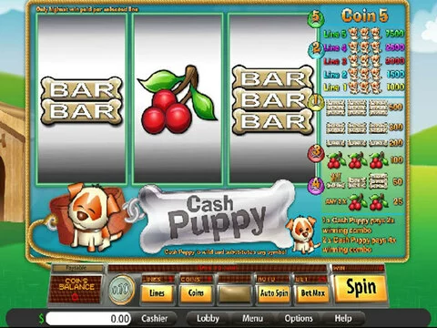 Cash Puppy Fun Slots by Saucify with 3 Reel and 5 Line