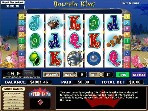 Dolphin King Fun Slots by CryptoLogic with 5 Reel and 9 Line