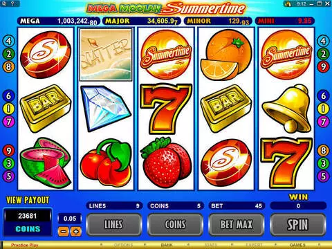 Mega Moolah Summertime Fun Slots by Microgaming with 5 Reel and 9 Line
