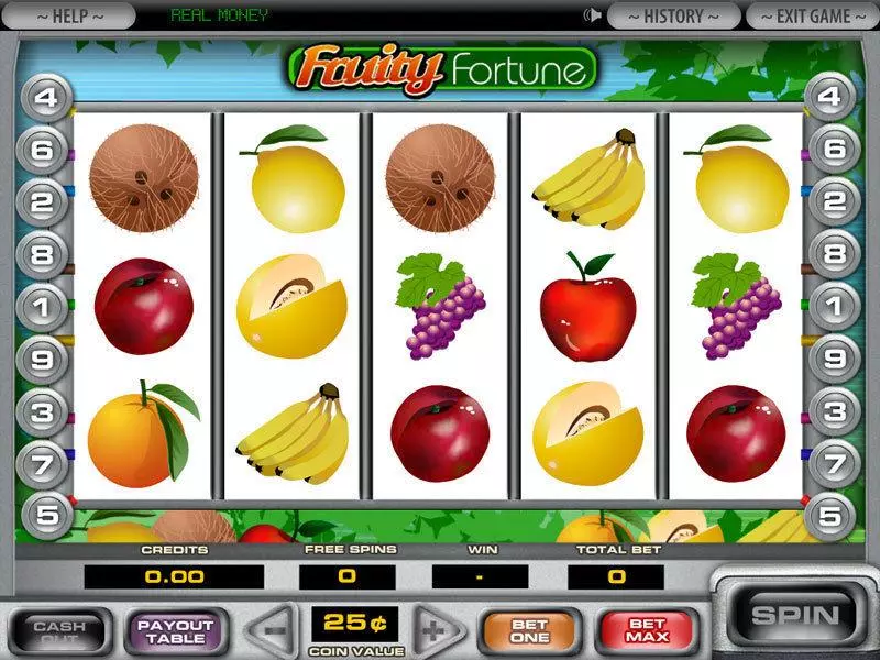 5-Reel Fruity Fortune Fun Slot Game made by DGS with 5 Reel and 9 Line