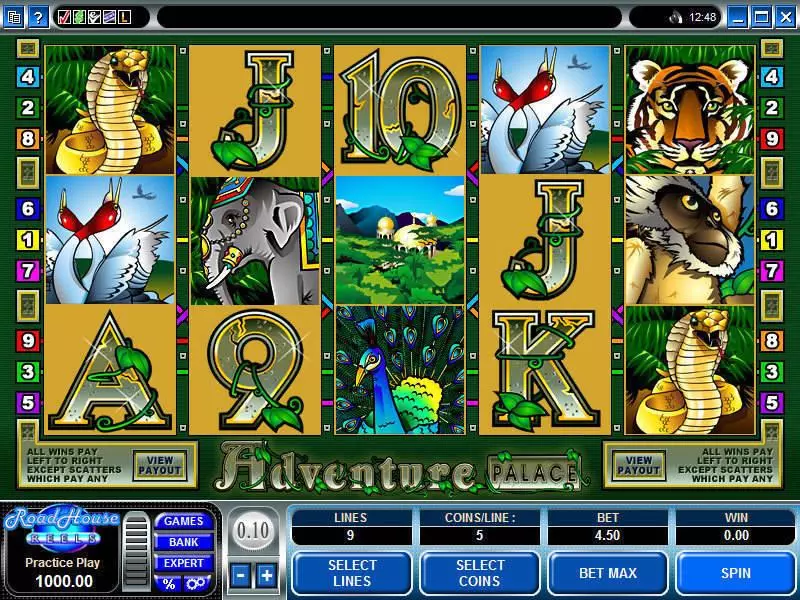 Adventure Palace Fun Slot Game made by Microgaming with 5 Reel and 9 Line