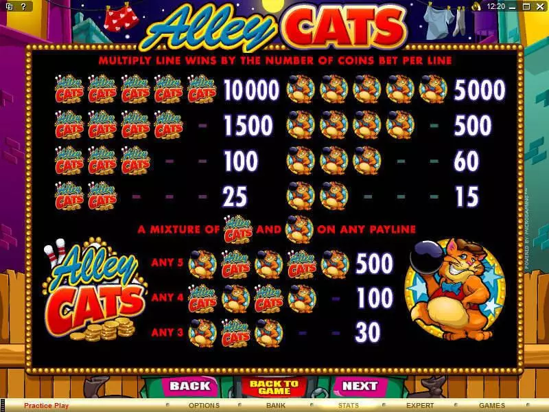 Alley Cats Fun Slot Game made by Microgaming with 5 Reel and 9 Line