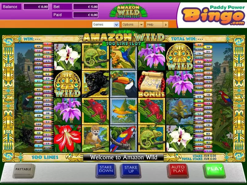 Amazon Wild Fun Slot Game made by Amaya with 5 Reel and 100 Line