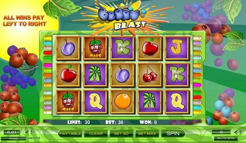 Berry Blast Fun Slot Game made by Amaya with 5 Reel and 30 Line