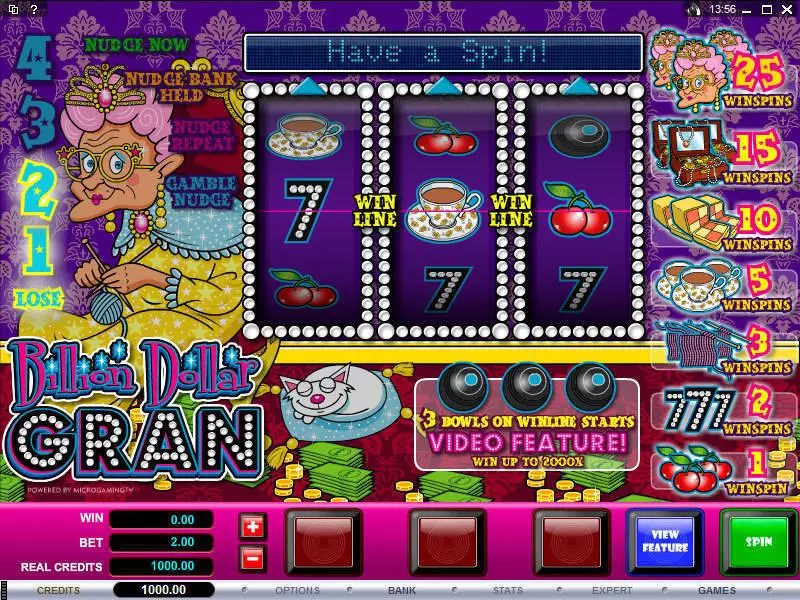 Billion Dollar Gran Fun Slot Game made by Microgaming with 3 Reel and 1 Line