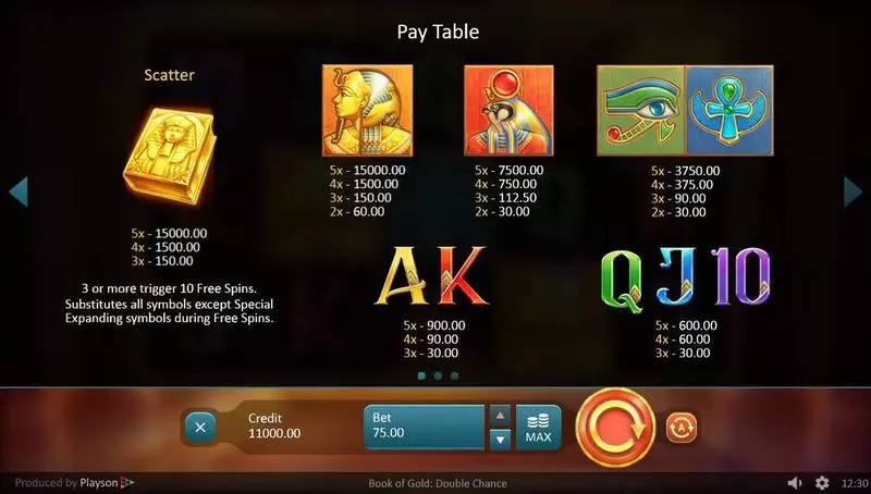 Book of Gold: Double Chance Fun Slot Game made by Playson with 5 Reel and 10 Line
