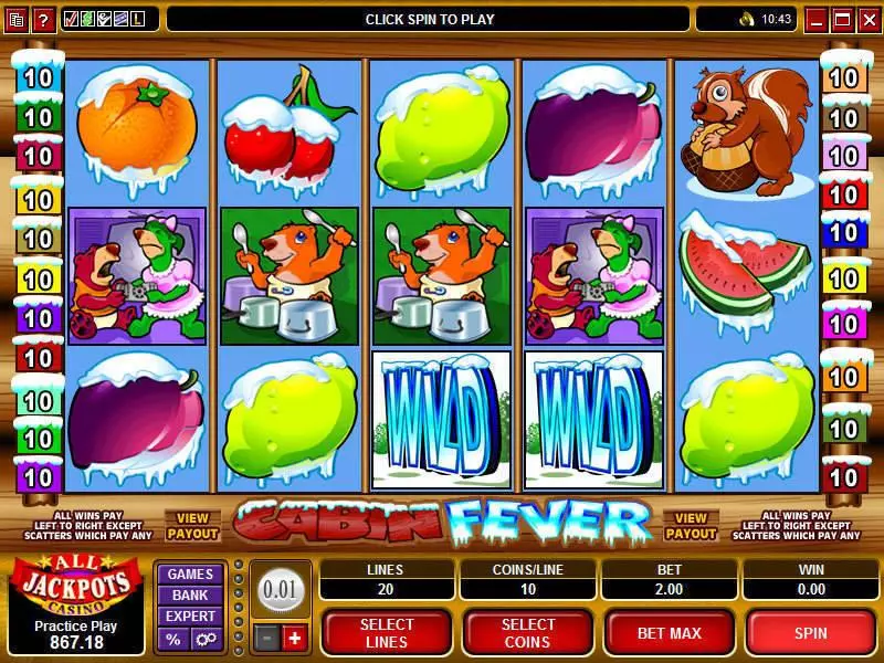 Cabin Fever Fun Slot Game made by Microgaming with 5 Reel and 20 Line