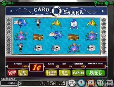 Card Shark Fun Slot Game made by RTG with 5 Reel and 9 Line