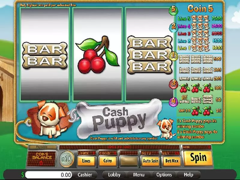 Cash Puppy Fun Slot Game made by Saucify with 3 Reel and 5 Line