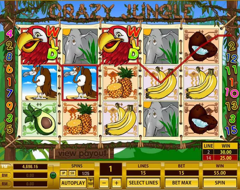 Crazy Jungle Fun Slot Game made by Topgame with 5 Reel and 15 Line