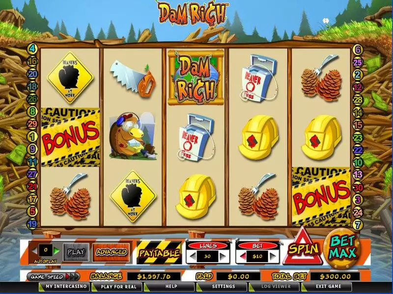 Dam Rich Fun Slot Game made by Amaya with 5 Reel and 30 Line