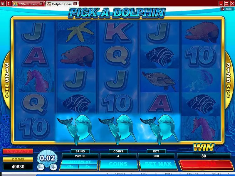 Dolphin Coast Fun Slot Game made by Microgaming with 5 Reel and 3125 Way