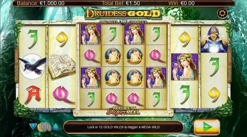 Druidess Gold  Fun Slot Game made by Nyx Interactive with 8 Reel and 1296 Line