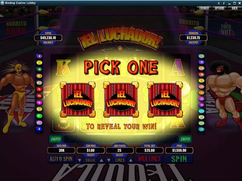 El Luchador Fun Slot Game made by RTG with 5 Reel and 25 Line