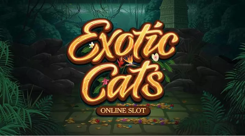 Exotic Cats Fun Slot Game made by Microgaming with 5 Reel and 243 Line