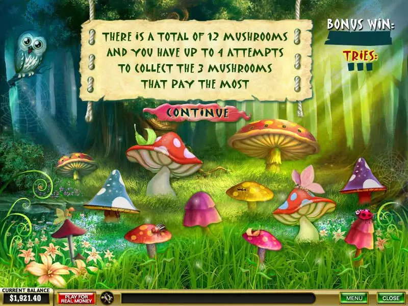 Forest of Wonders Fun Slot Game made by PlayTech with 5 Reel and 25 Line