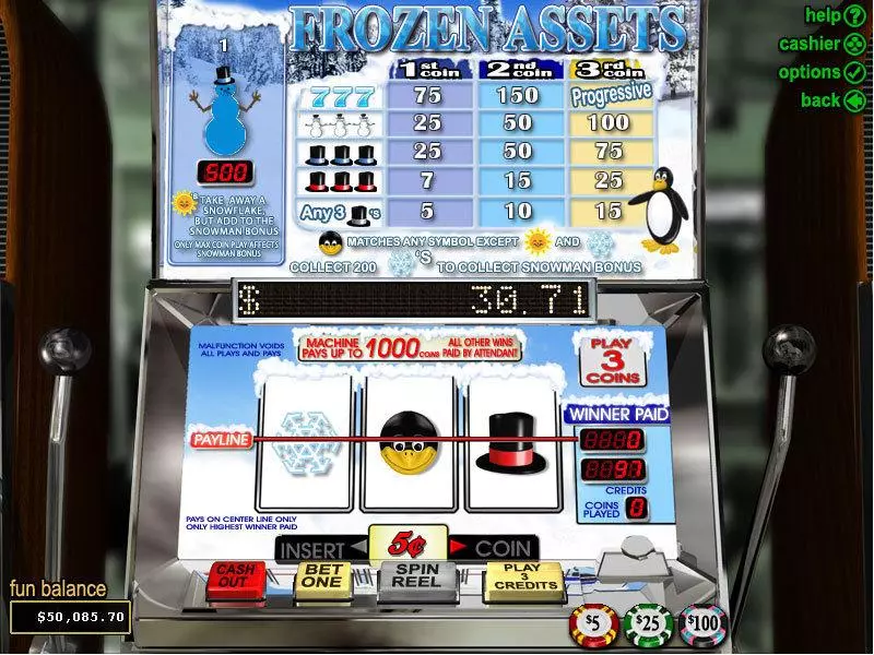 Frozen Assets Fun Slot Game made by RTG with 3 Reel and 1 Line