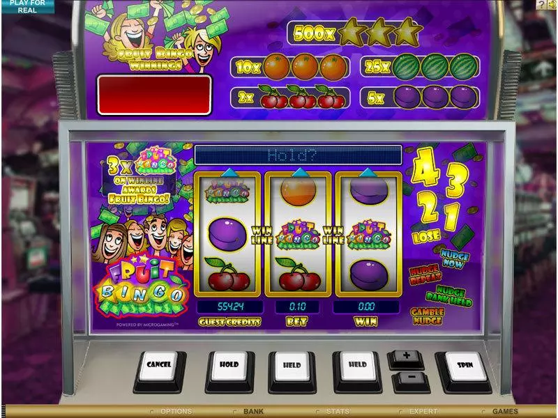 Fruit Bingo Fun Slot Game made by Microgaming with 3 Reel and 1 Line