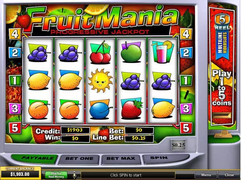 FruitMania Fun Slot Game made by PlayTech with 5 Reel and 5 Line