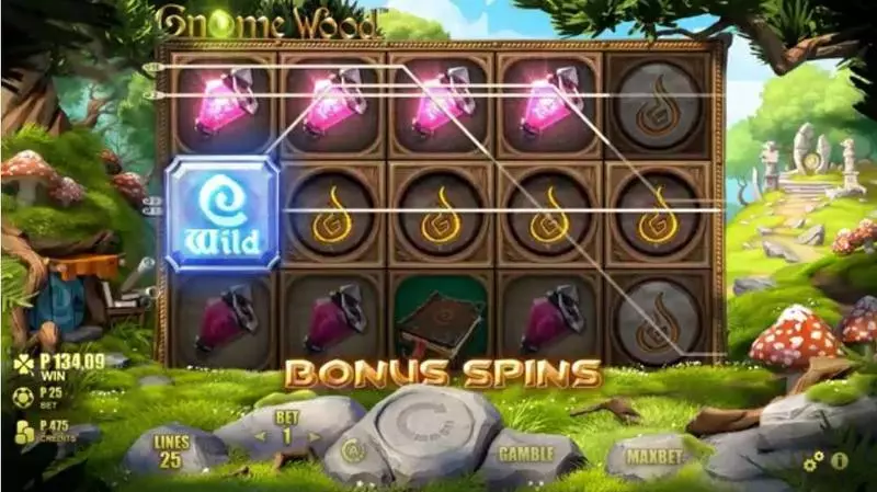 Gnome Wood Fun Slot Game made by Microgaming with 5 Reel and 25 Line