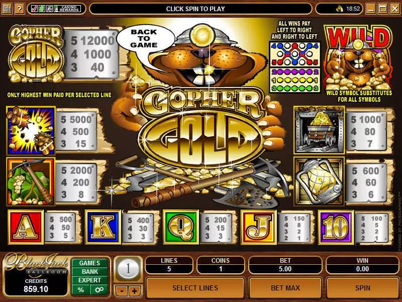 Gopher Gold Fun Slot Game made by Microgaming with 5 Reel and 5 Line