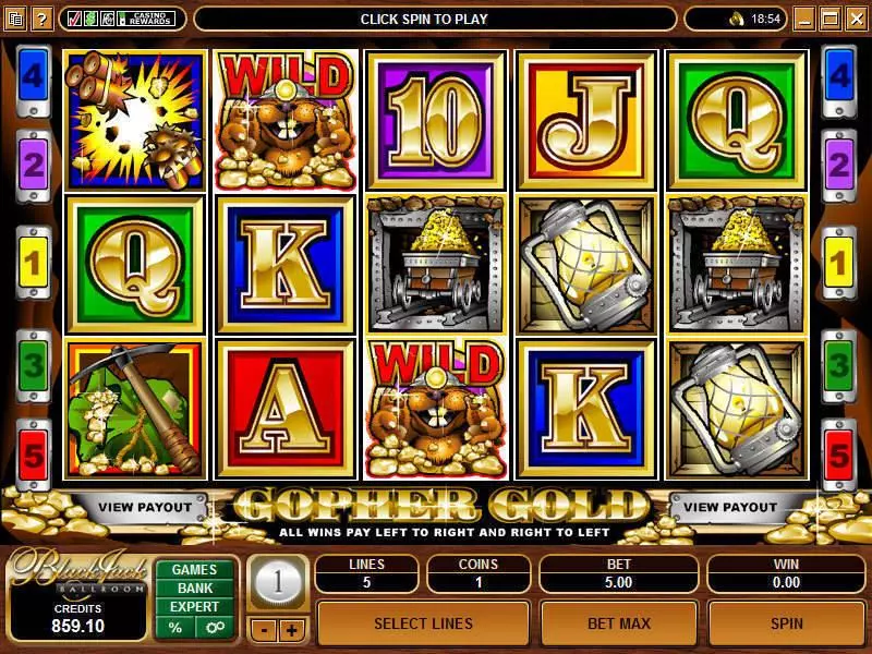 Gopher Gold Fun Slot Game made by Microgaming with 5 Reel and 5 Line