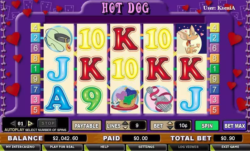 Hot Dog Fun Slot Game made by CryptoLogic with 5 Reel and 9 Line