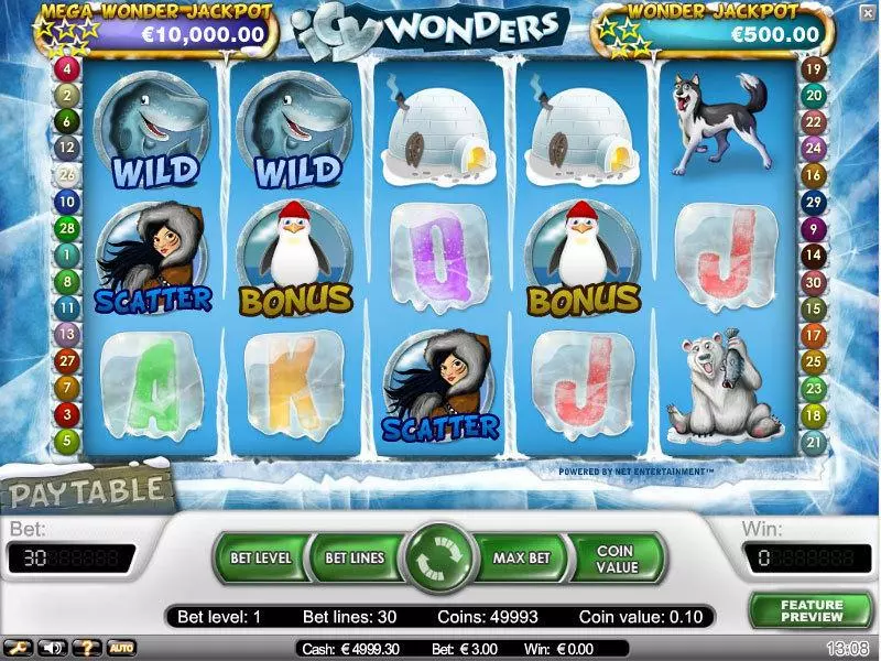 Icy Wonders Fun Slot Game made by NetEnt with 5 Reel and 30 Line