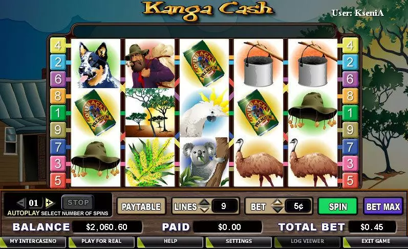 Kanga Cash Fun Slot Game made by CryptoLogic with 5 Reel and 9 Line