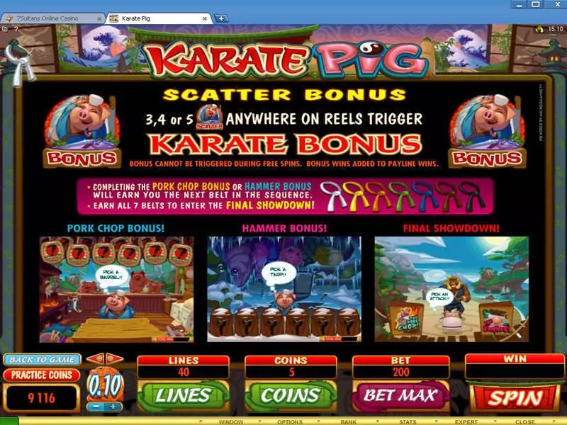 Karate Pig Fun Slot Game made by Microgaming with 5 Reel and 40 Line