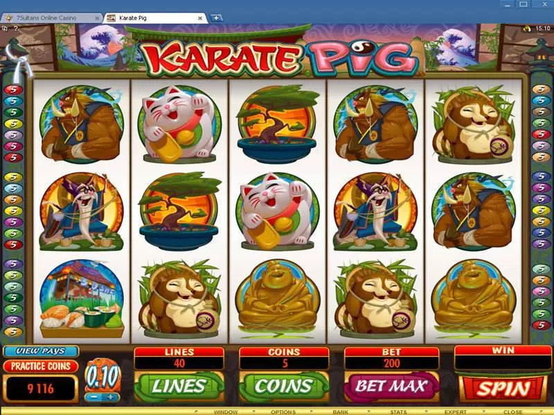 Karate Pig Fun Slot Game made by Microgaming with 5 Reel and 40 Line