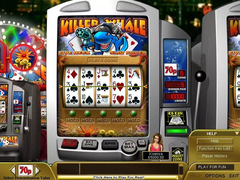 Killer Whale Poker Fun Slot Game made by Boss Media with 5 Reel and 1 Line