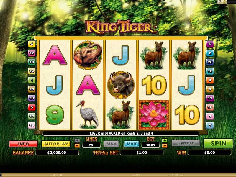 King Tiger Fun Slot Game made by Microgaming with 5 Reel and 20 Line