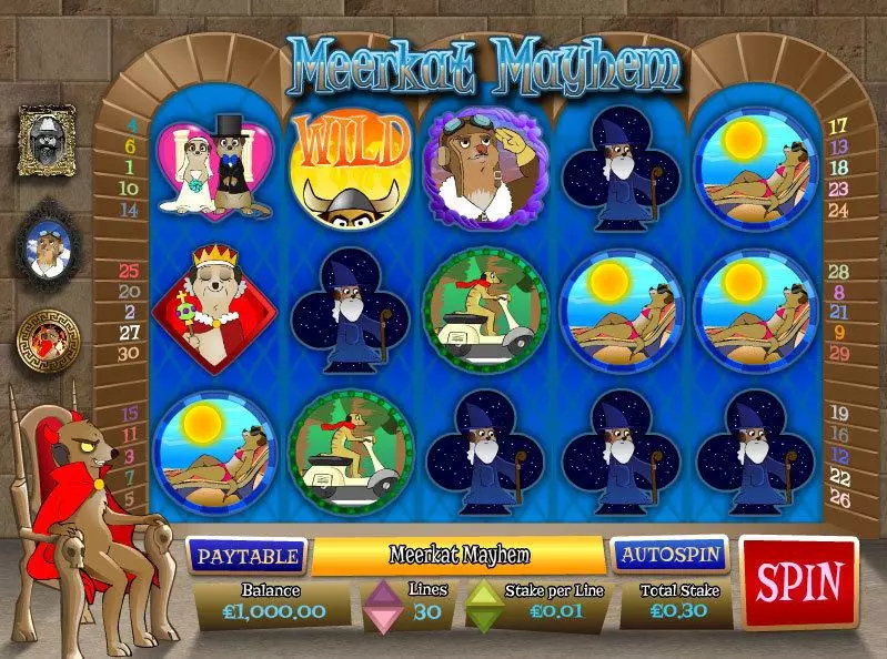 Meerkat Mayhem Fun Slot Game made by Wagermill with 5 Reel and 30 Line