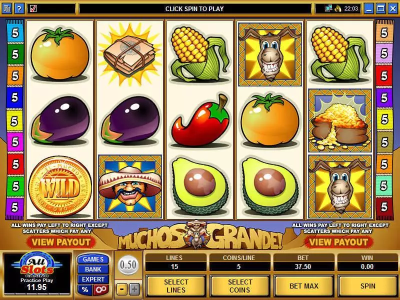 Muchos Grande Fun Slot Game made by Microgaming with 5 Reel and 15 Line