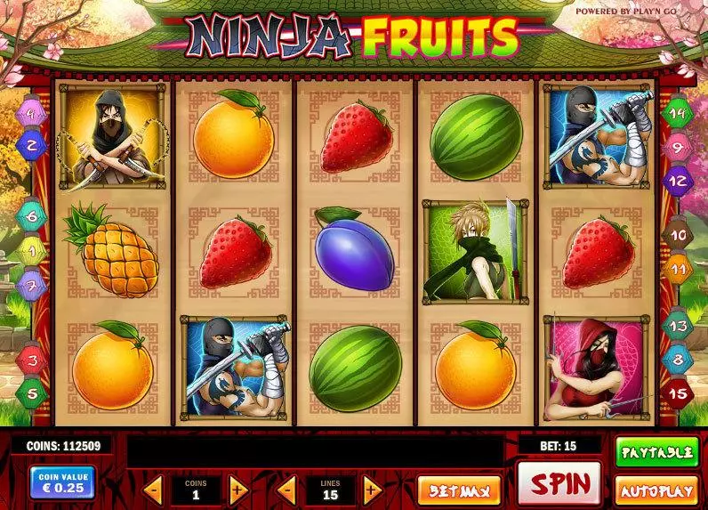 Ninja Fruits Fun Slot Game made by Play'n GO with 5 Reel and 15 Line