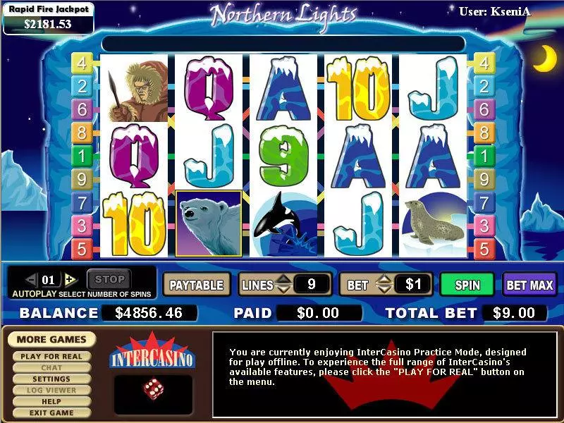 Northern Lights Fun Slot Game made by CryptoLogic with 5 Reel and 9 Line