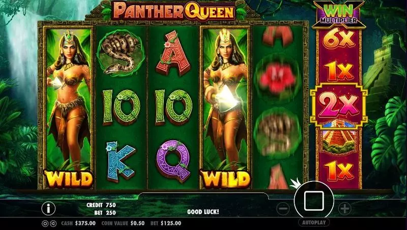 Panther Queen Fun Slot Game made by PartyGaming with 5 Reel and 25 Line