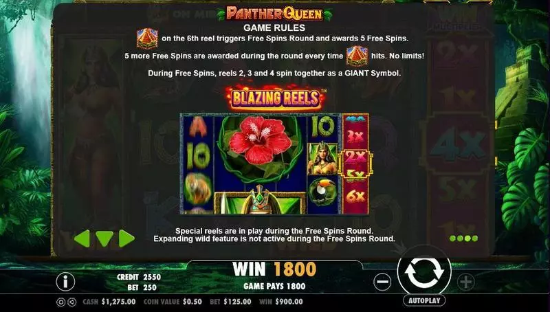 Panther Queen Fun Slot Game made by PartyGaming with 5 Reel and 25 Line