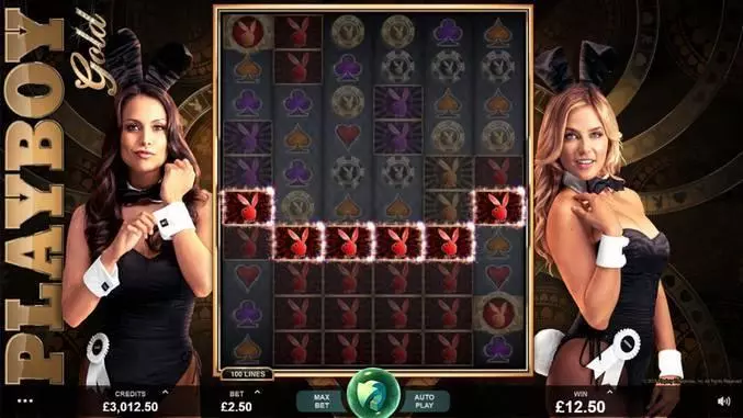 Playboy Gold Fun Slot Game made by Microgaming with 6 Reel and 100 Line