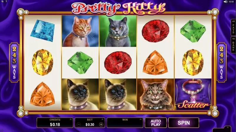 Pretty Kitty Fun Slot Game made by Microgaming with 5 Reel and 243 Line