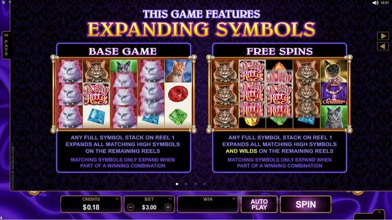 Pretty Kitty Fun Slot Game made by Microgaming with 5 Reel and 243 Line