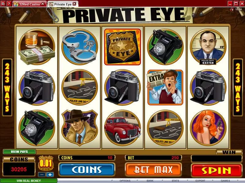 Private Eye Fun Slot Game made by Microgaming with 5 Reel and 243 Line