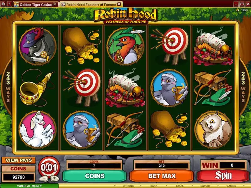 Robin Hood Feathers of Fortune Fun Slot Game made by Microgaming with 5 Reel and 243 Line