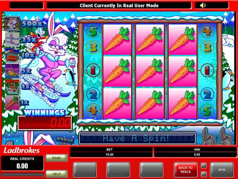Ski Bunny Fun Slot Game made by Microgaming with 3 Reel and 1 Line