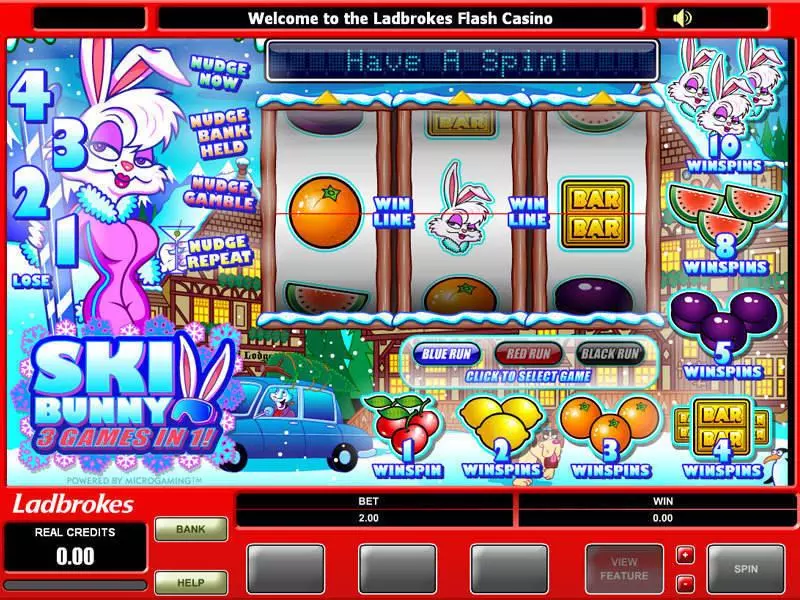 Ski Bunny Fun Slot Game made by Microgaming with 3 Reel and 1 Line