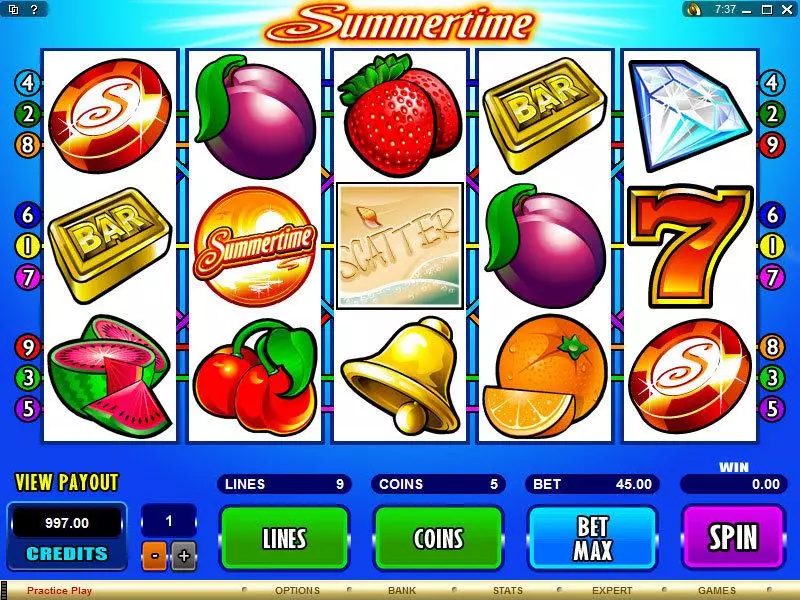 Summertime Fun Slot Game made by Microgaming with 5 Reel and 9 Line