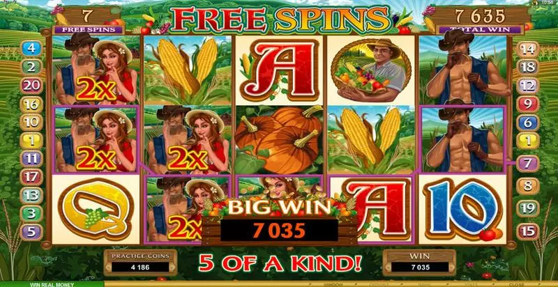 Sweet Harvest Fun Slot Game made by Microgaming with 5 Reel and 20 Line