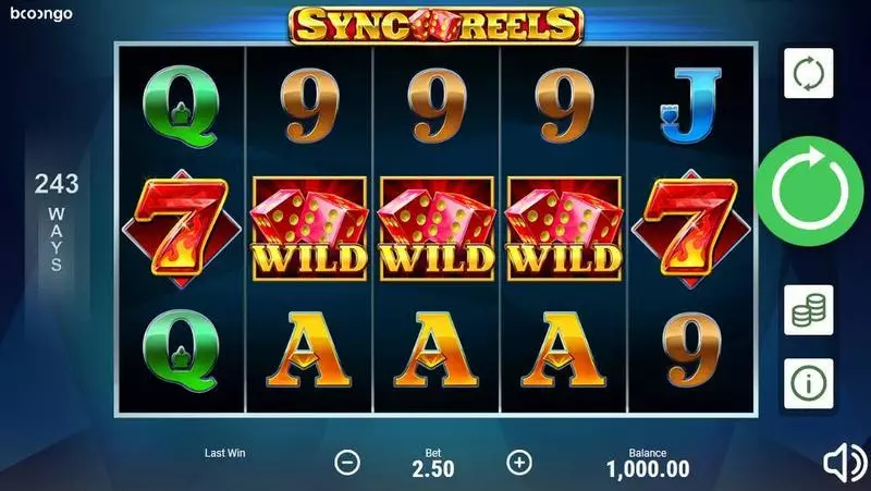 Sync Reels Fun Slot Game made by Booongo with 5 Reel and 243 Line